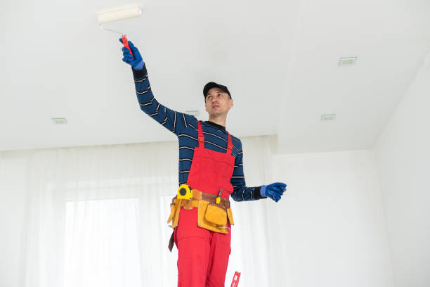 Best Drywall Removal and Disposal  in Brooklawn, NJ